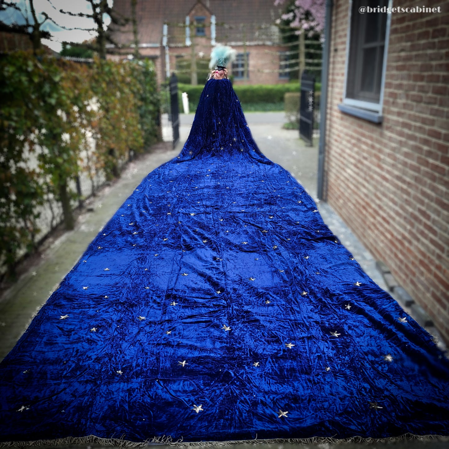 Vintage 32 Feet Long Theater Cape