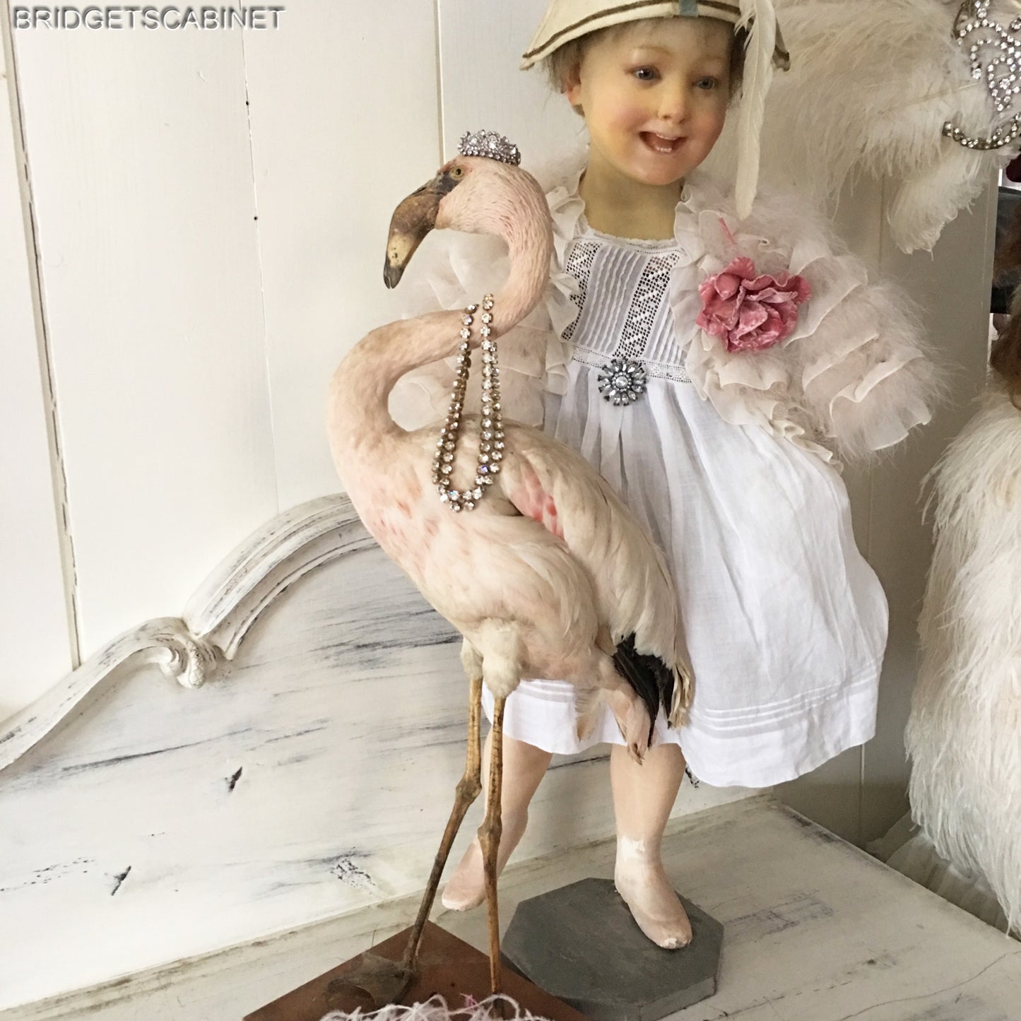 Antique Taxidermy Flamengo