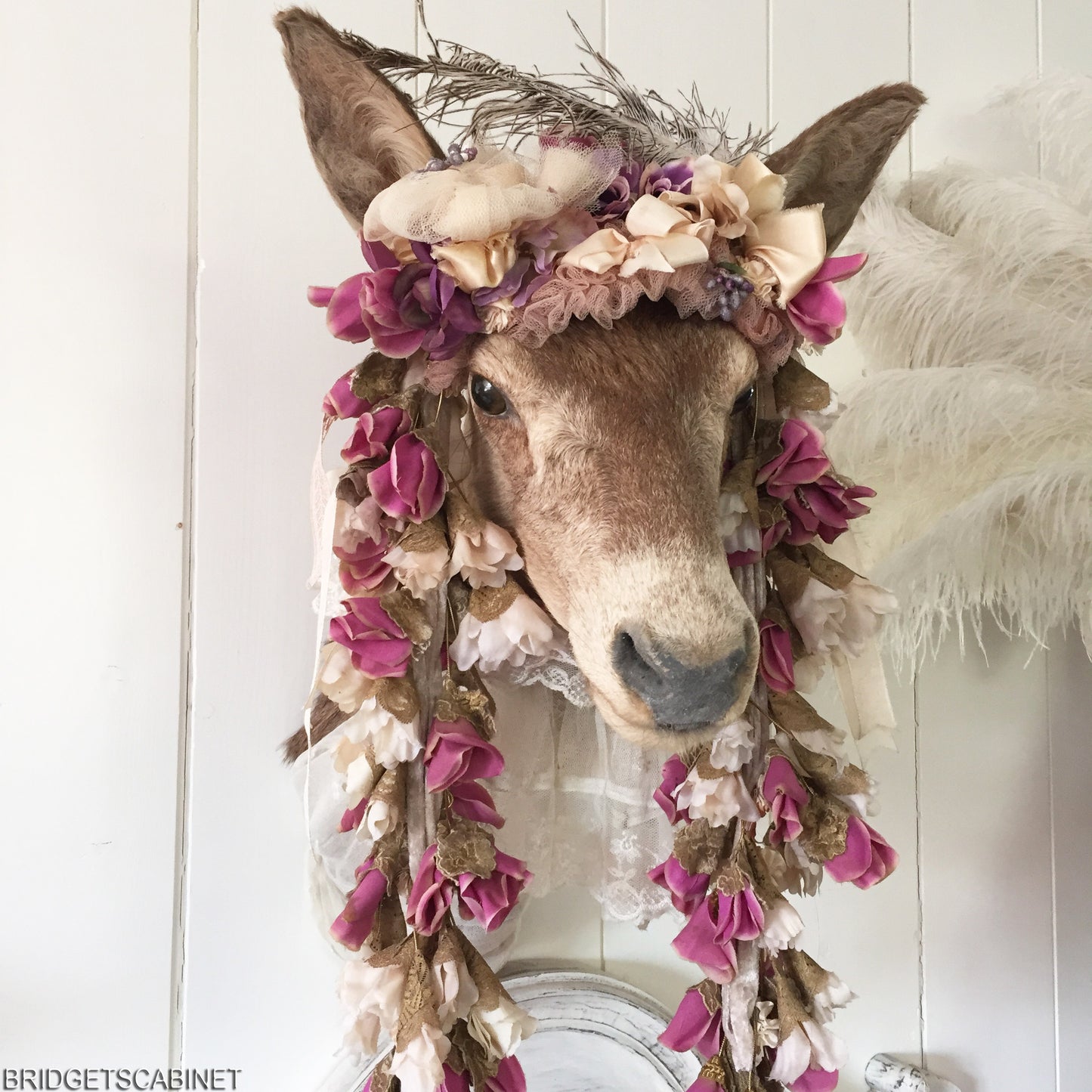 Enchanting Taxidermy Deer Head