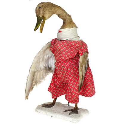 Scene of 5 1930s Taxidermy Animals