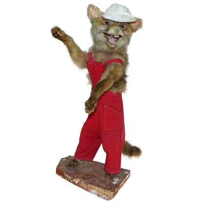 Scene of 5 1930s Taxidermy Animals