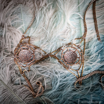 Vintage Stage Burlesque Bra Theater Rhinestone