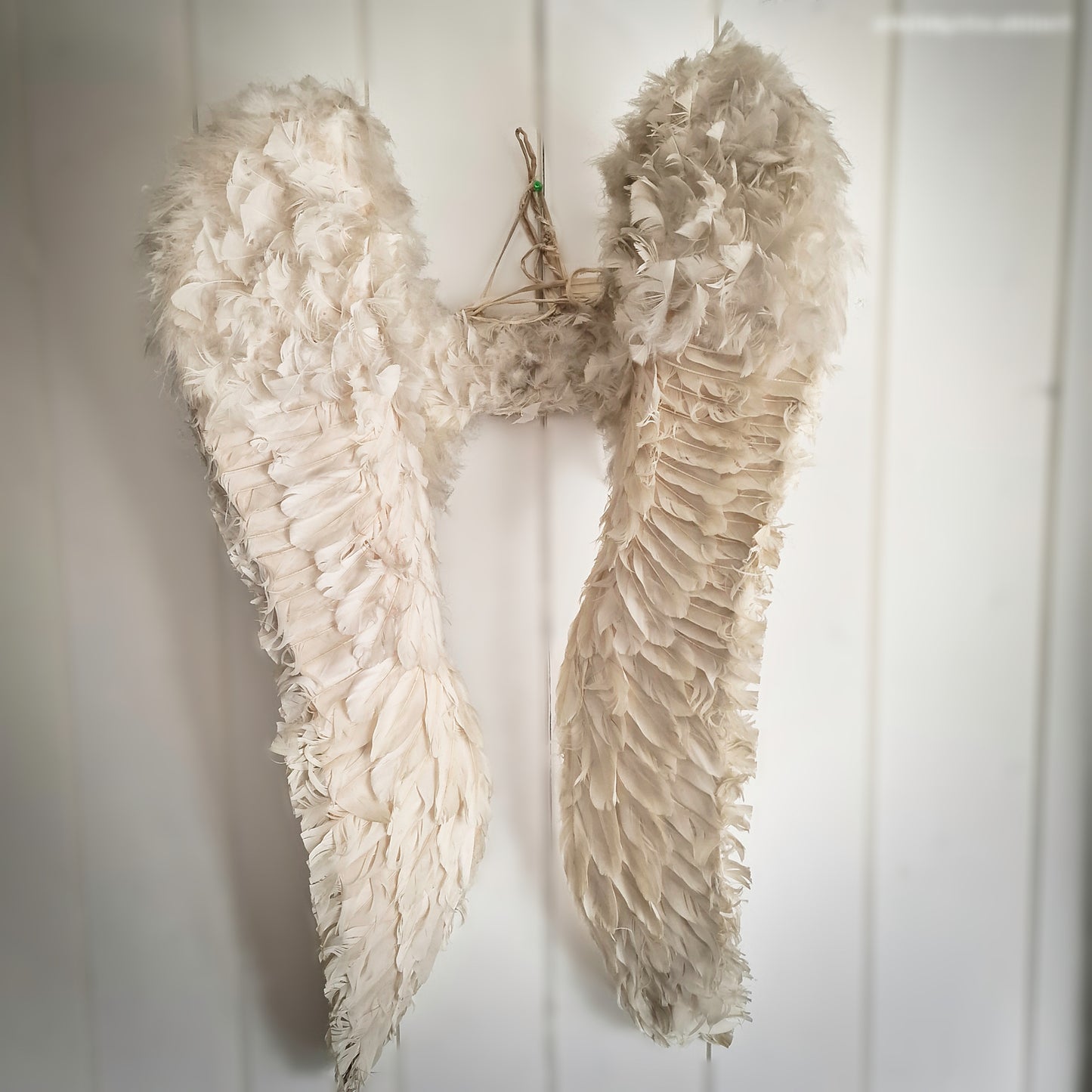 Rare Antique Angel Wings Feathered Design (Early 1900s)