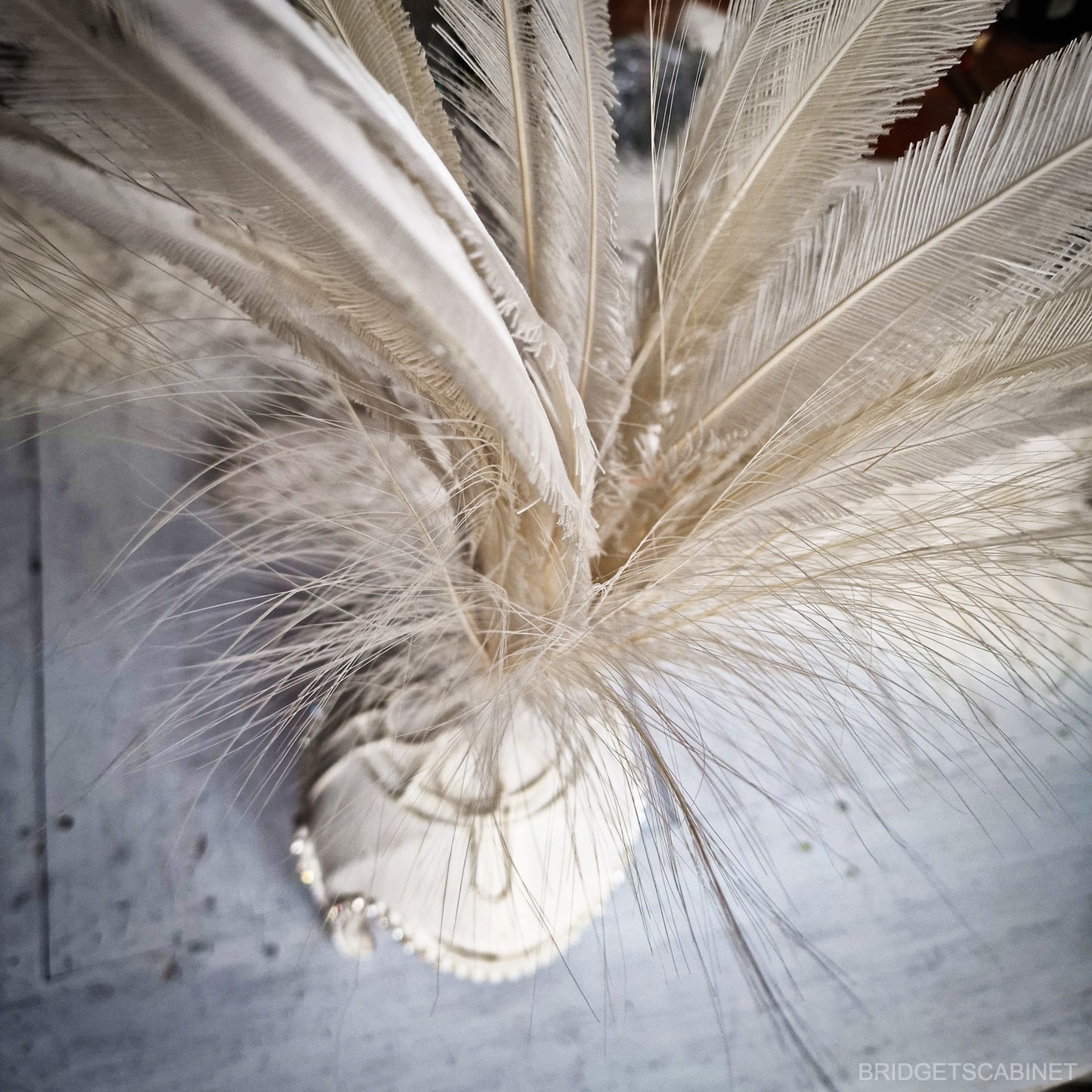 Vintage Feather Stage Burlesque Headdress