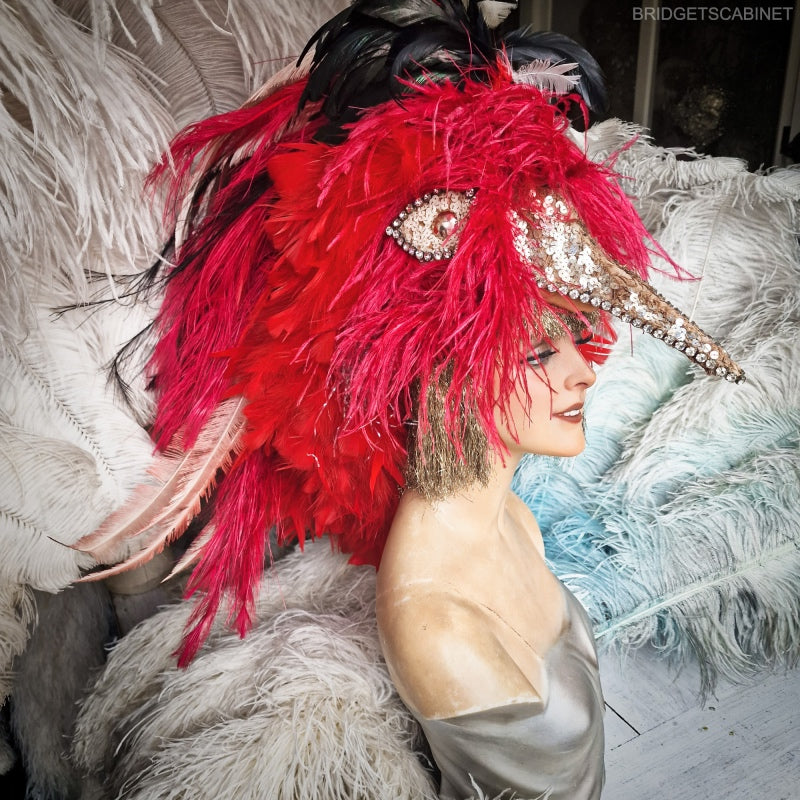 Paradise Bird Stage Headdress