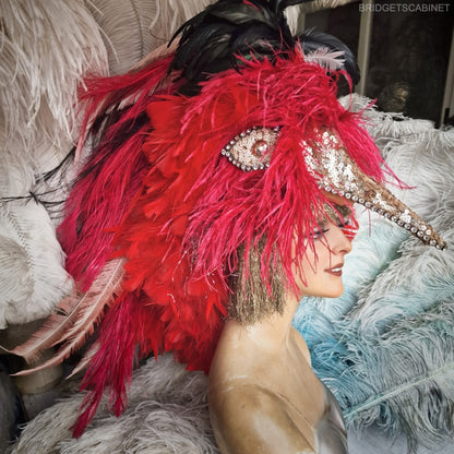 Paradise Bird Stage Headdress