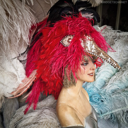 Paradise Bird Stage Headdress
