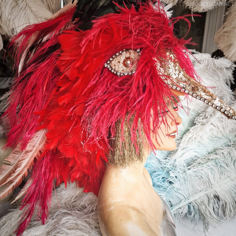 Paradise Bird Stage Headdress
