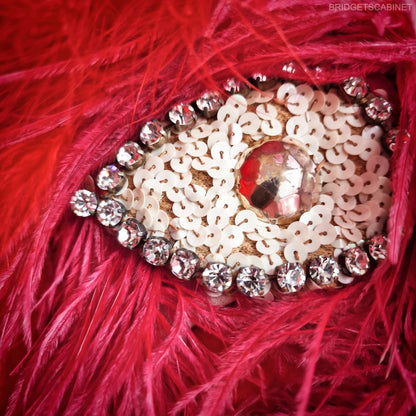 Paradise Bird Stage Headdress
