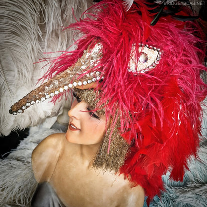 Paradise Bird Stage Headdress