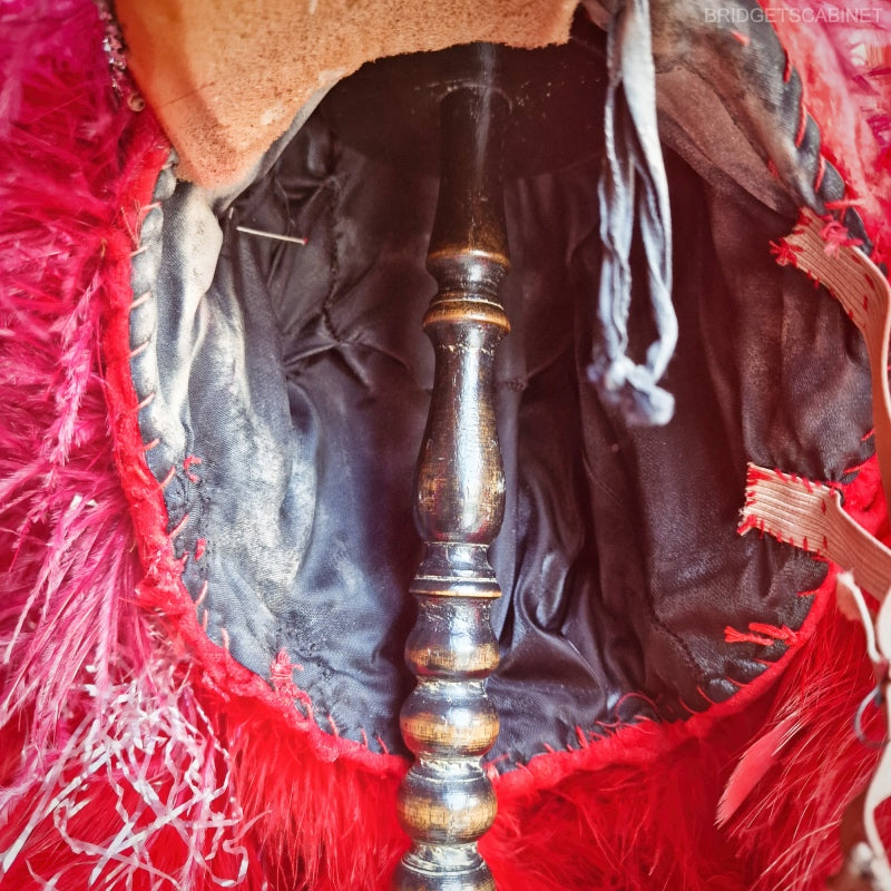 Paradise Bird Stage Headdress