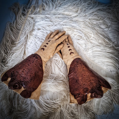 Rare Taxidermy Gloves Toad