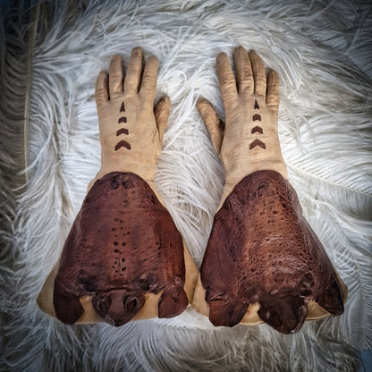 Rare Taxidermy Gloves Toad