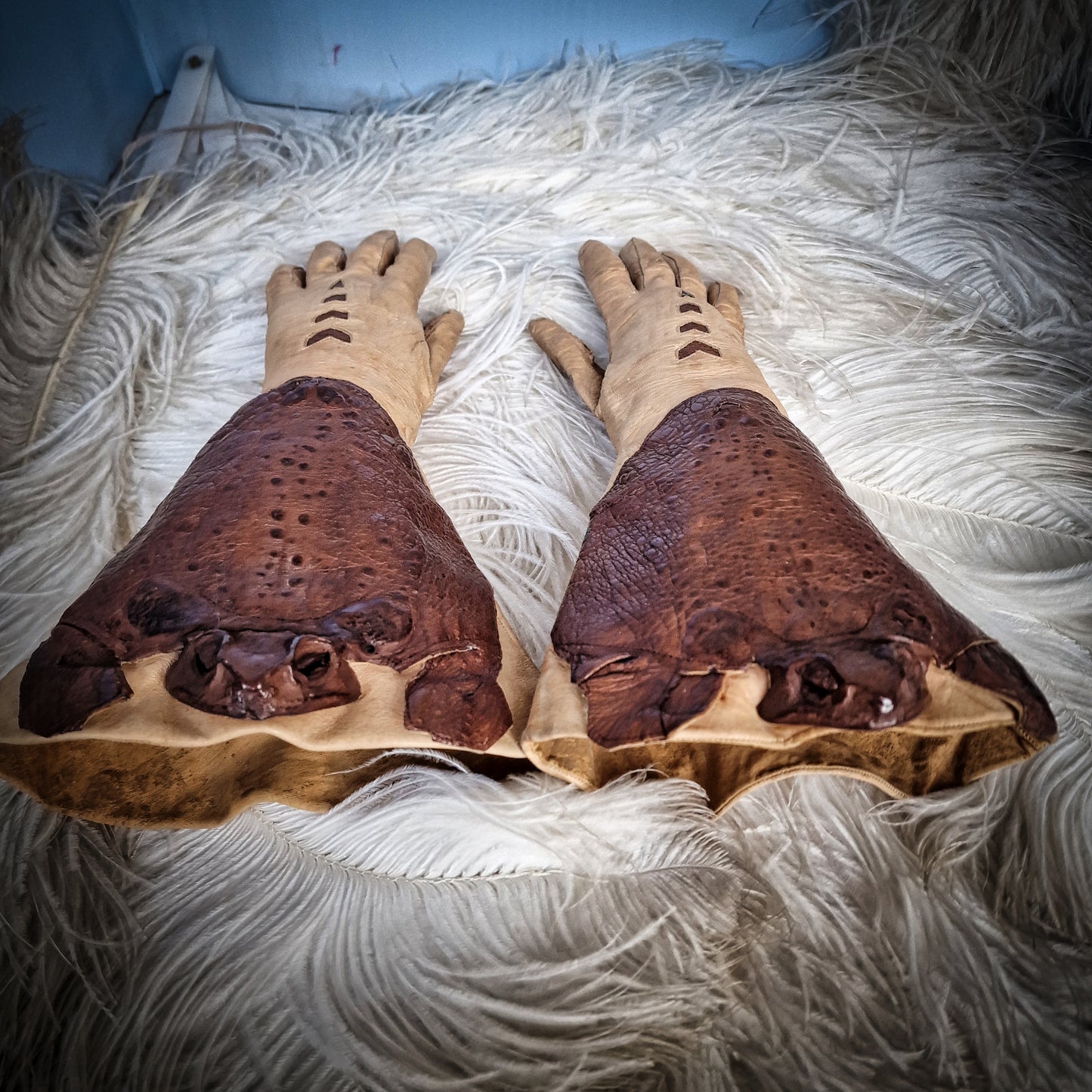 Rare Taxidermy Gloves Toad