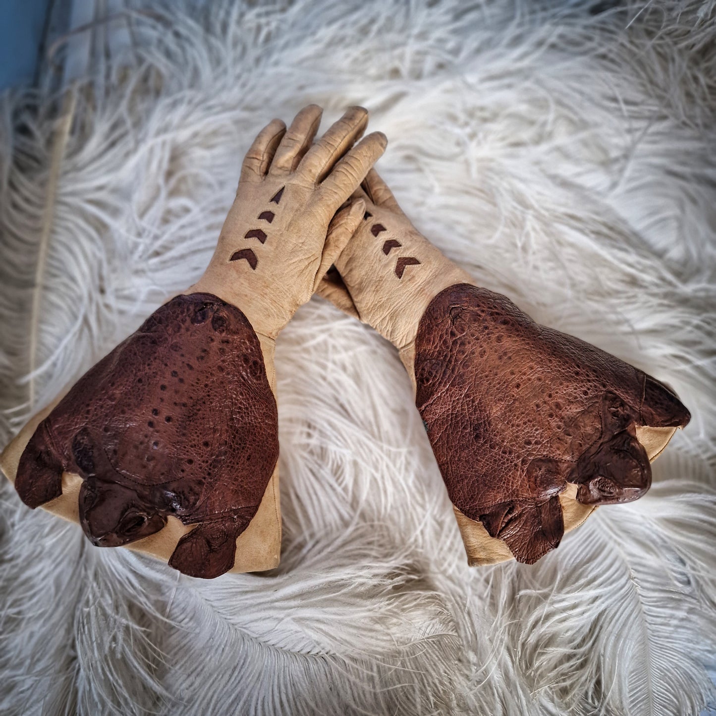 Rare Taxidermy Gloves Toad