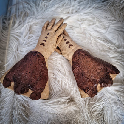 Rare Taxidermy Gloves Toad