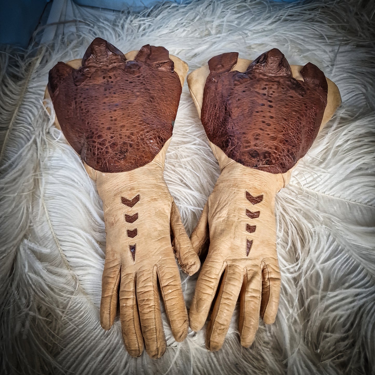 Rare Taxidermy Gloves Toad