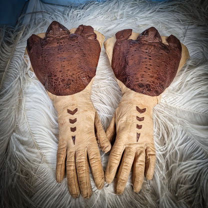 Rare Taxidermy Gloves Toad