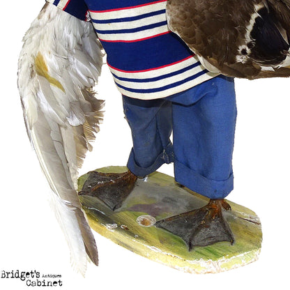 Scene of 5 1930s Taxidermy Animals