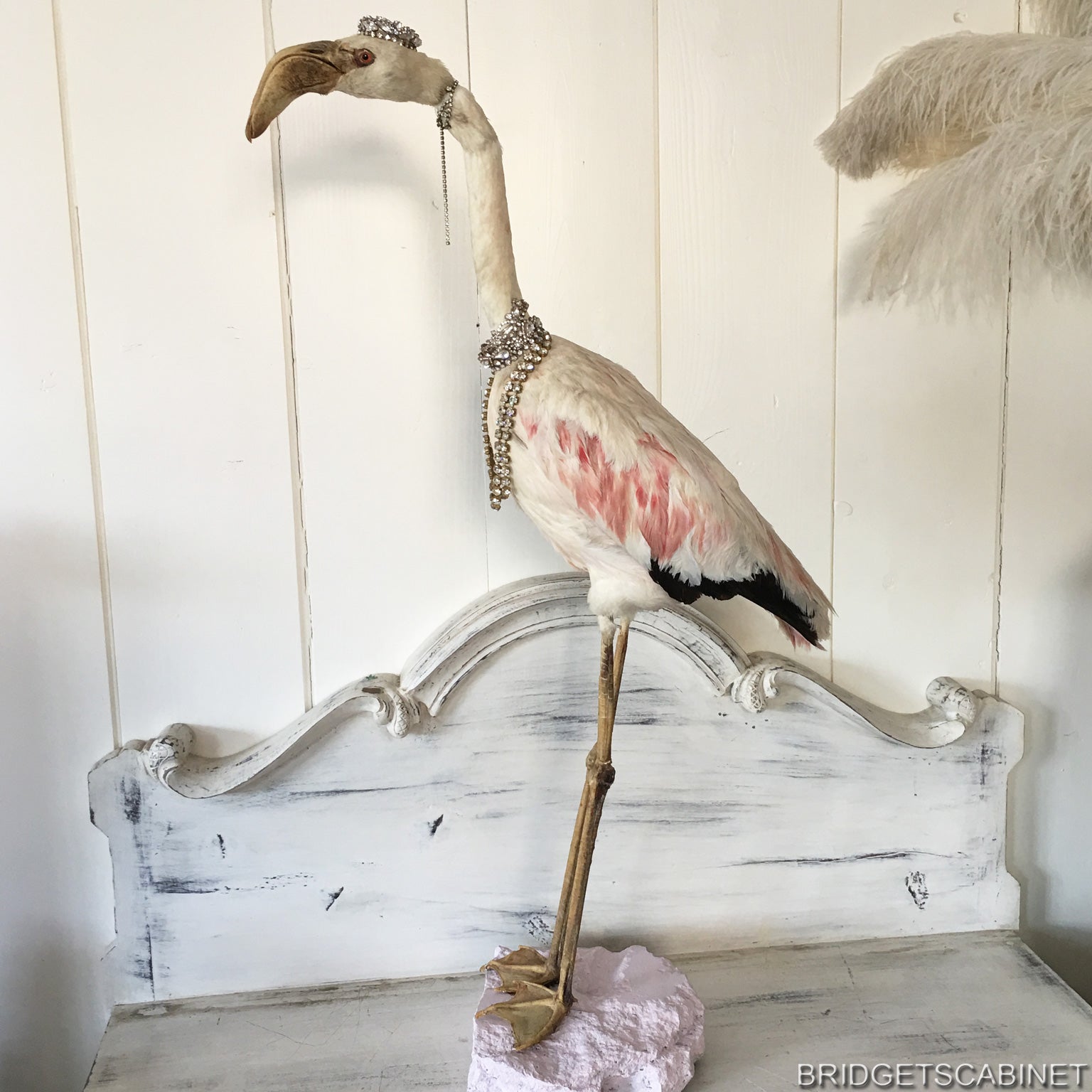 1930s Taxidermy Flamingo Mounted – Bridget's Cabinet