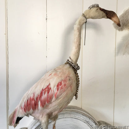 1930s Taxidermy Flamingo Mounted
