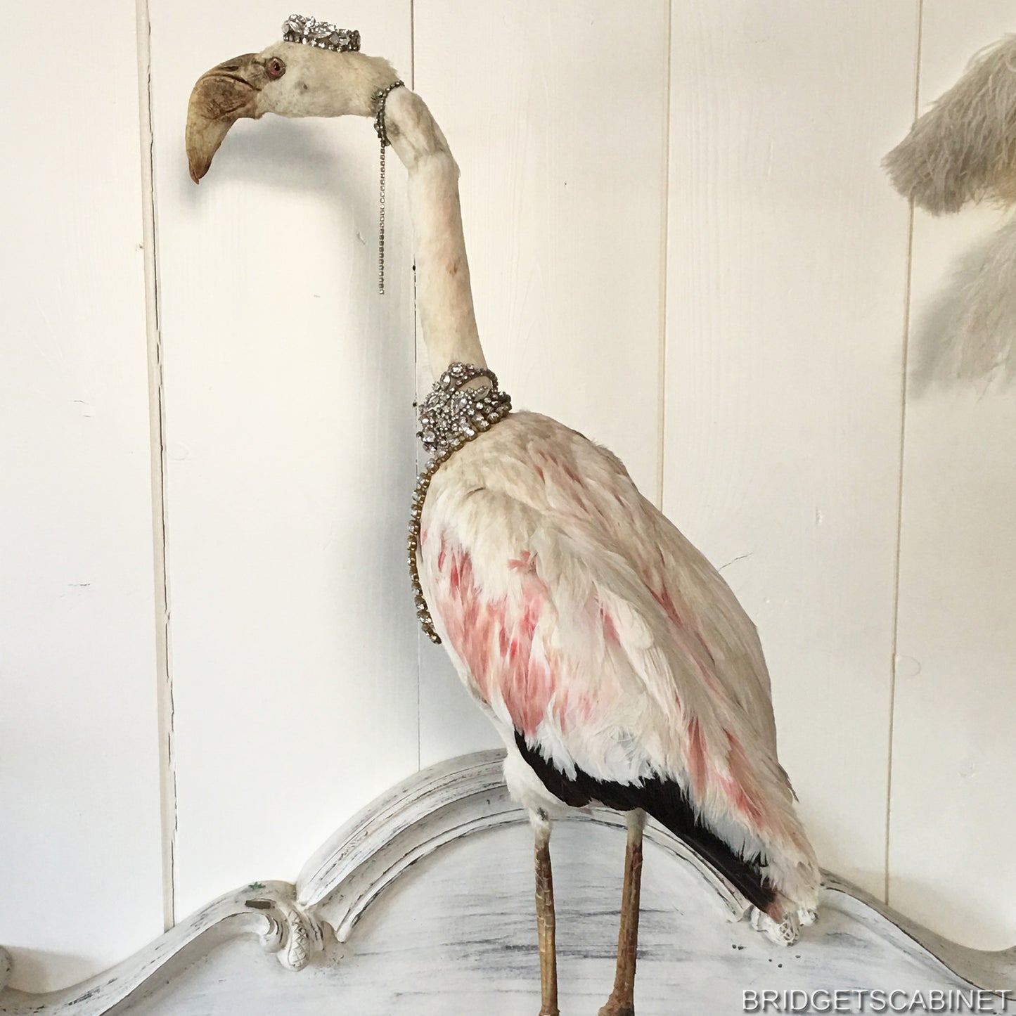 1930s Taxidermy Flamingo Mounted