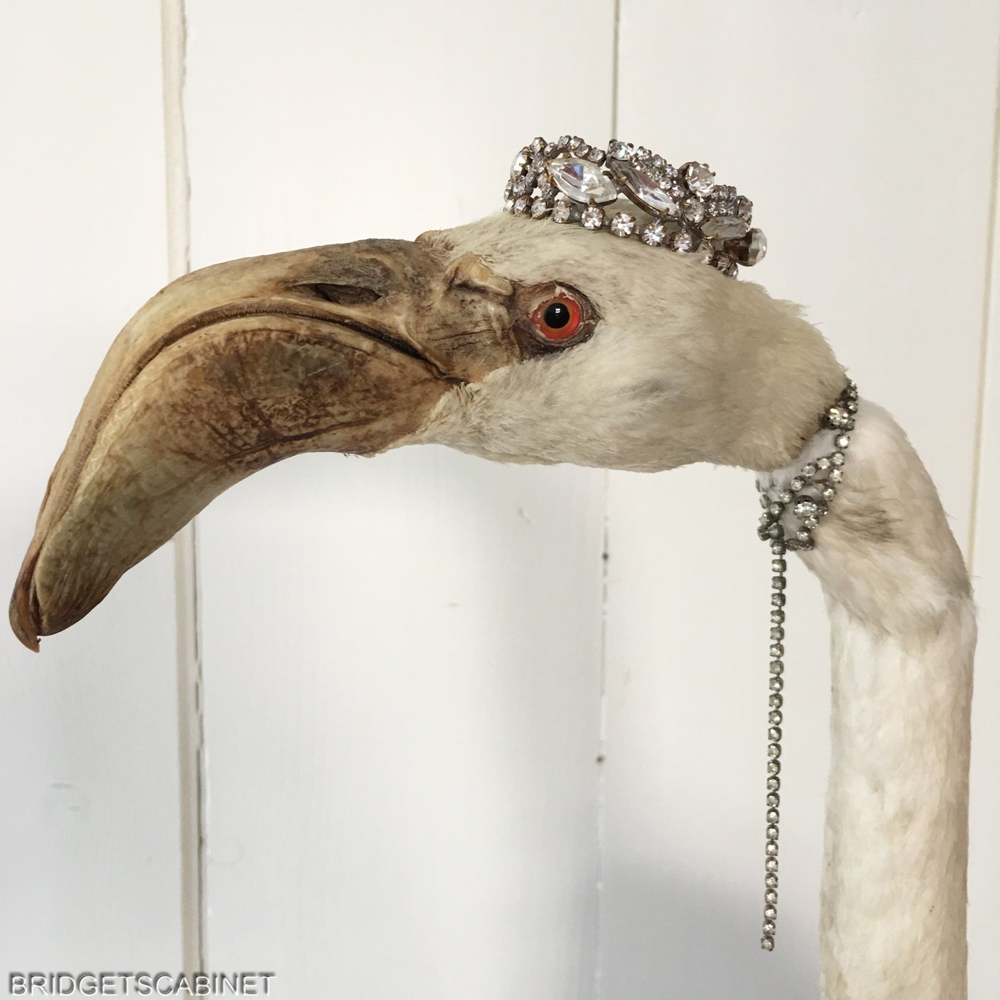 1930s Taxidermy Flamingo Mounted