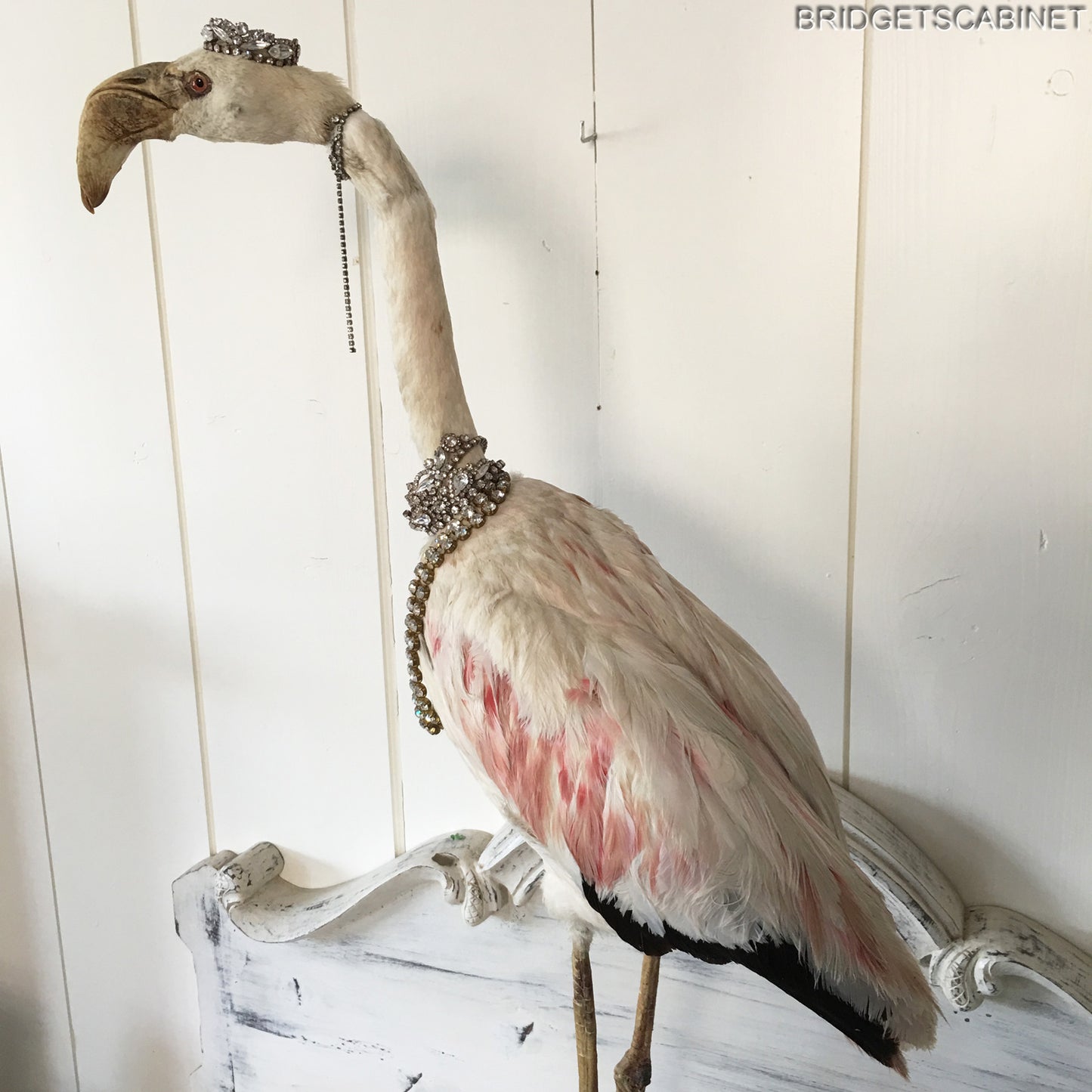 1930s Taxidermy Flamingo Mounted