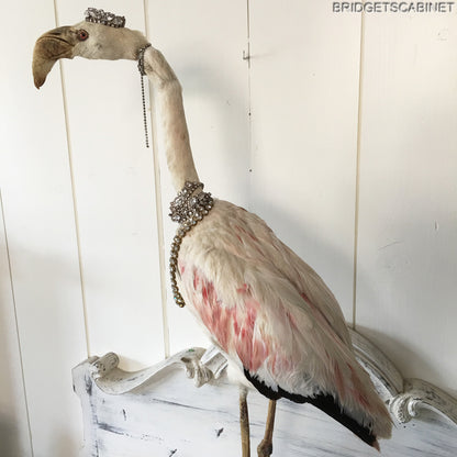 1930s Taxidermy Flamingo Mounted
