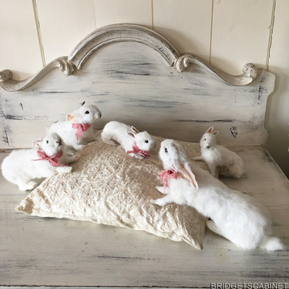 Scene of 5 White Taxidermy Rabbits