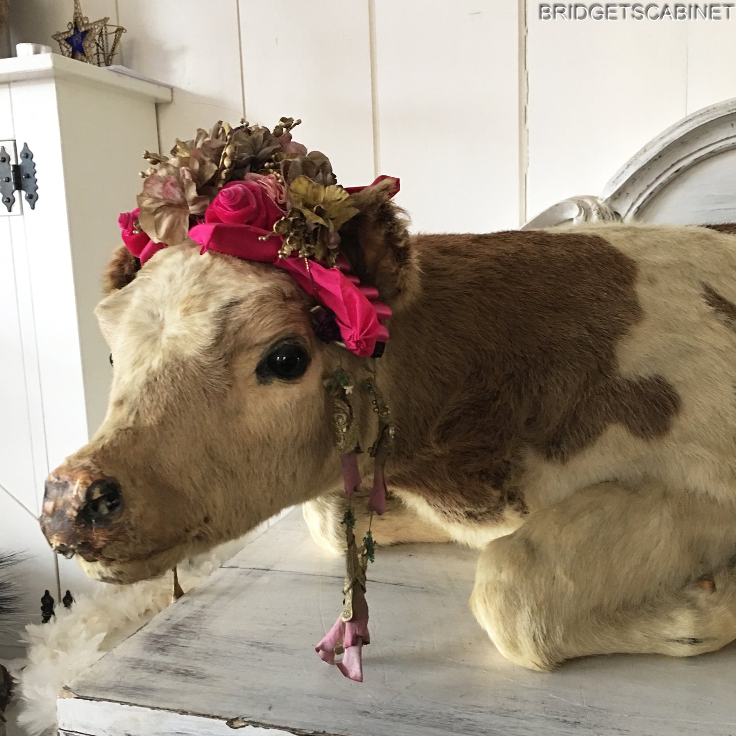 1930s Taxidermy Butcher Window Calf Display