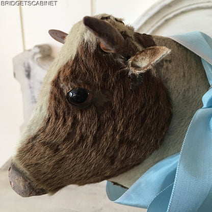 Antique German Pull Toy Cow real Fur Doll