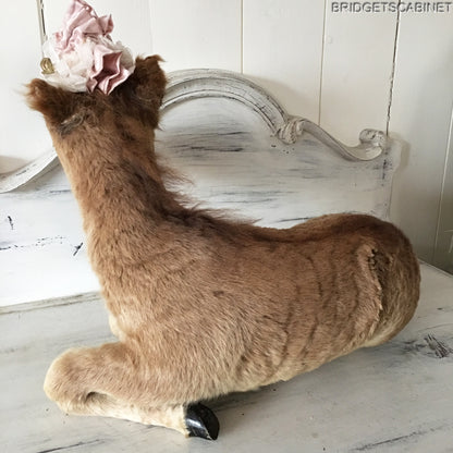 Taxidermy Horse Foal