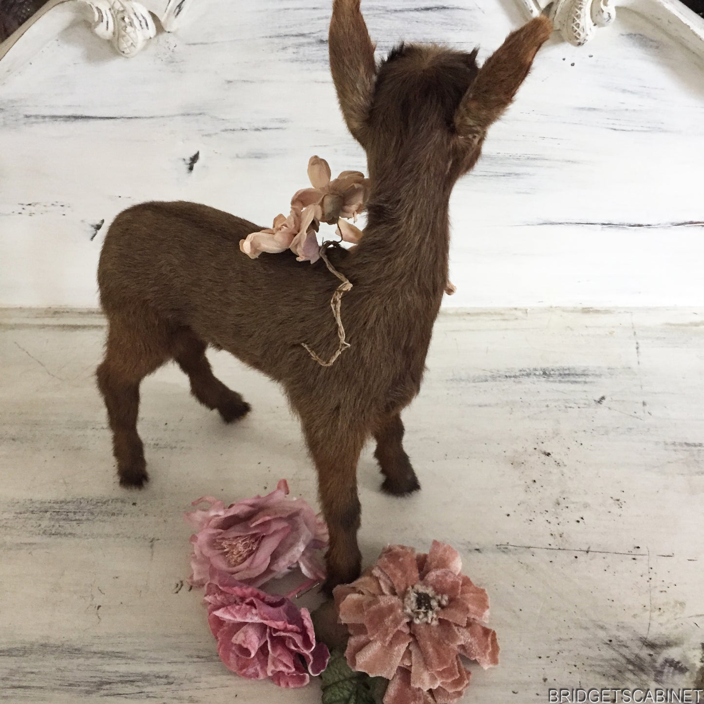 Brown Taxidermy Baby Lamb