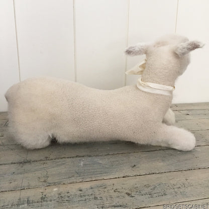 Taxidermy Lamb White