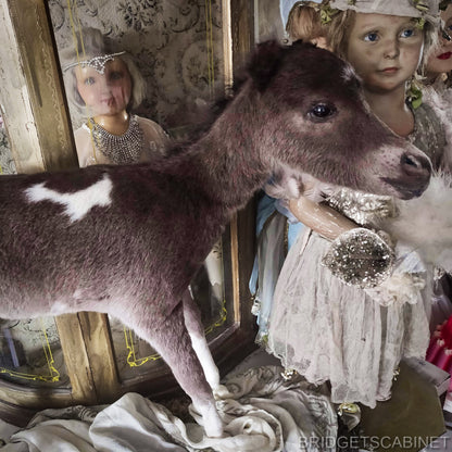 Taxidermy Mini Horse Foal