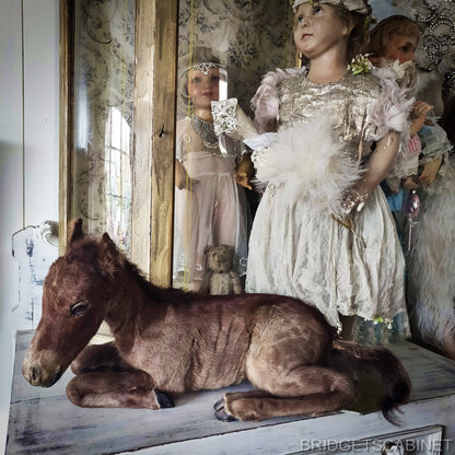 Vintage Taxidermy Foal Horse