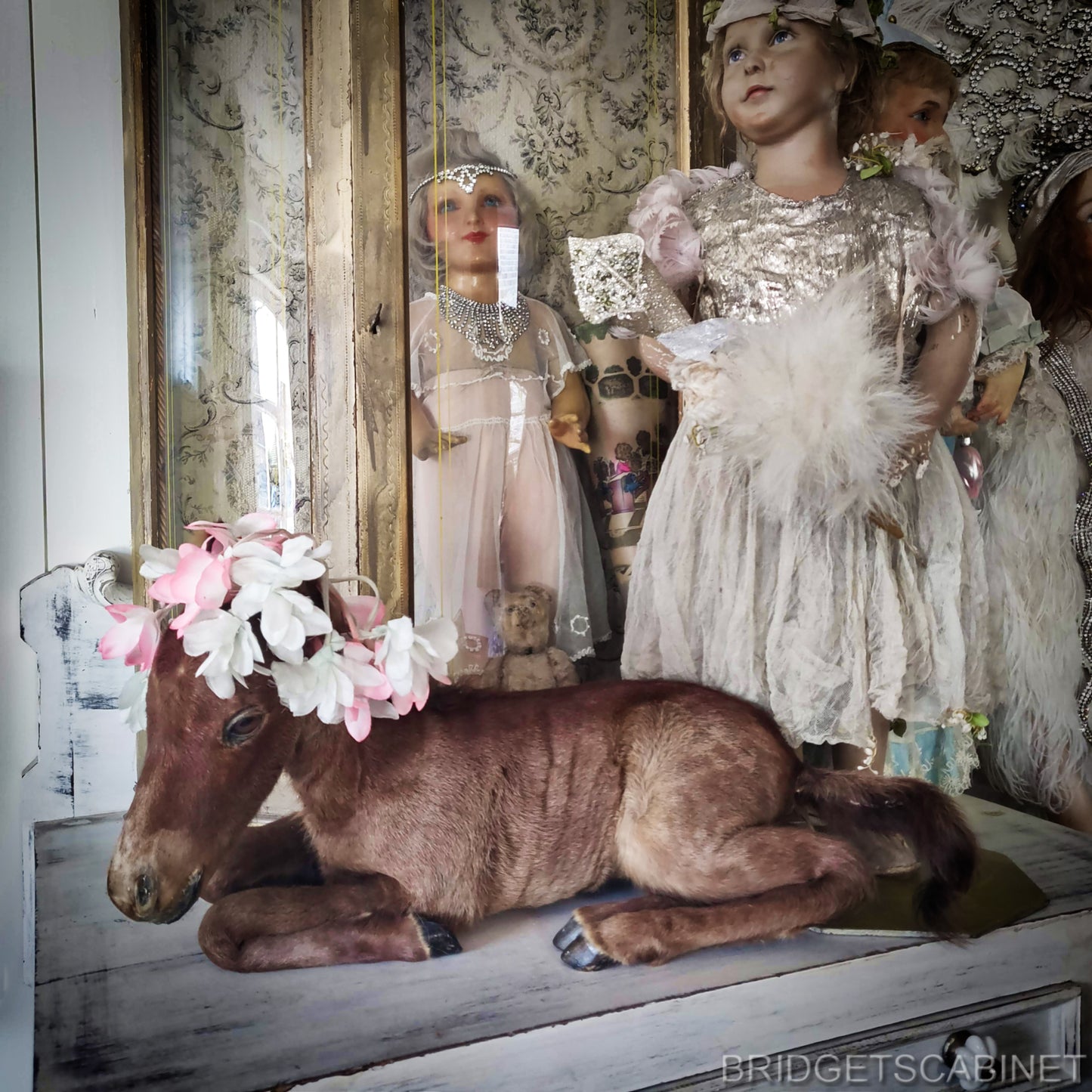Vintage Taxidermy Foal Horse