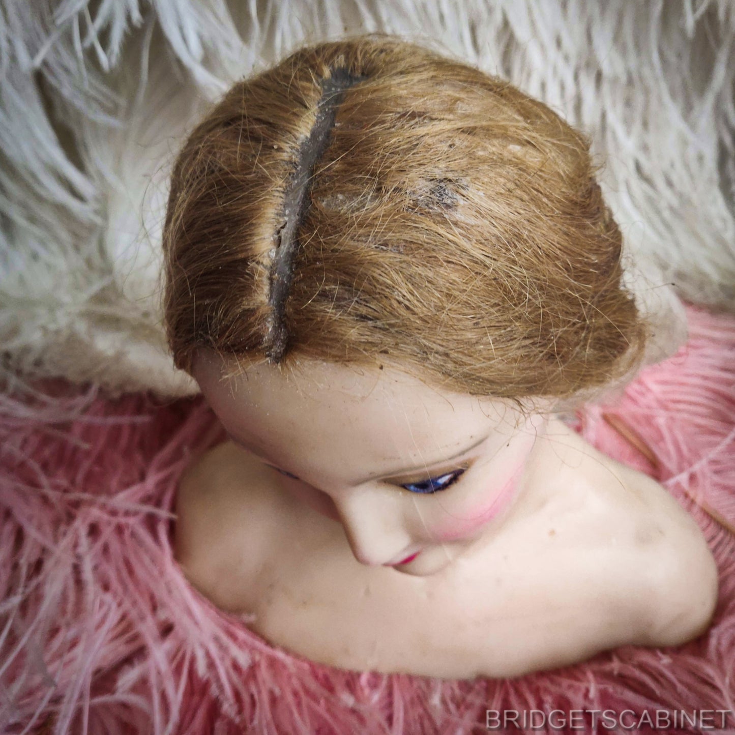 19th C, French Boudoir Miniatur Wax Mannequin Bust