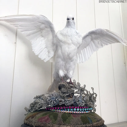 Vintage Taxidermy Dove Mounted Flying Pose