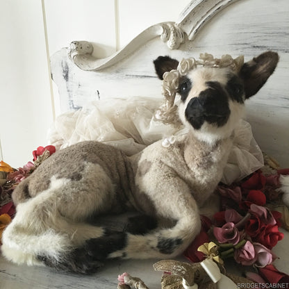 Vintage Taxidermy Lamb