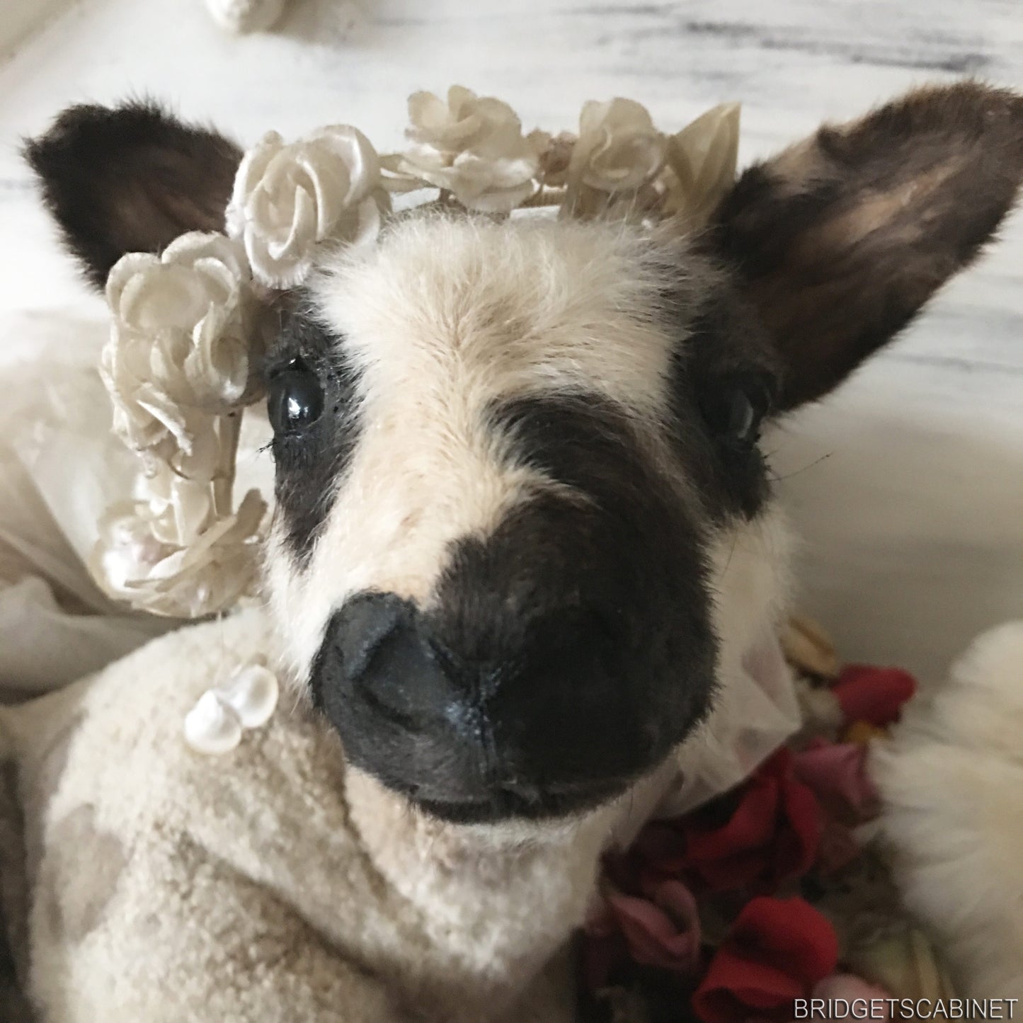 Vintage Taxidermy Lamb