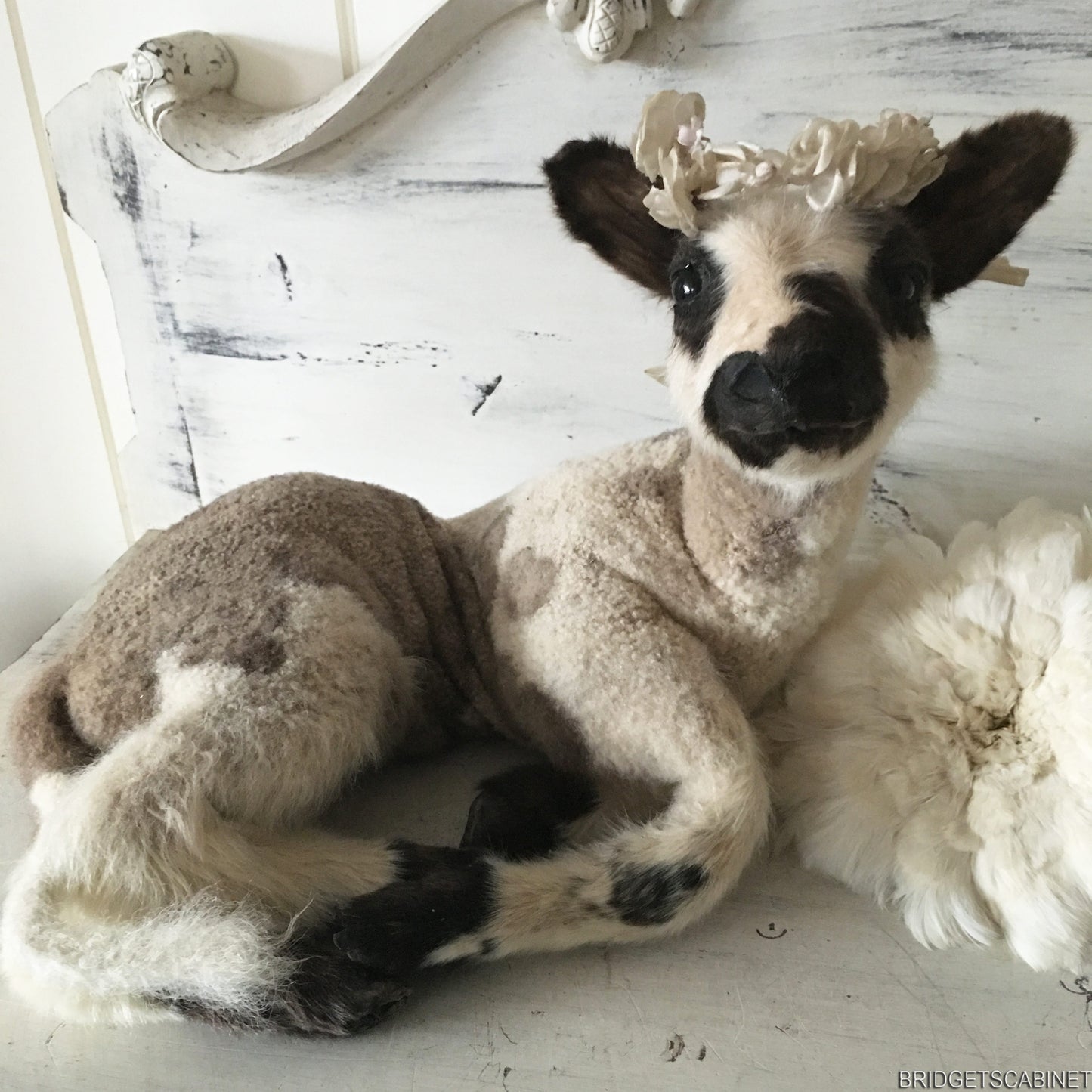 Vintage Taxidermy Lamb