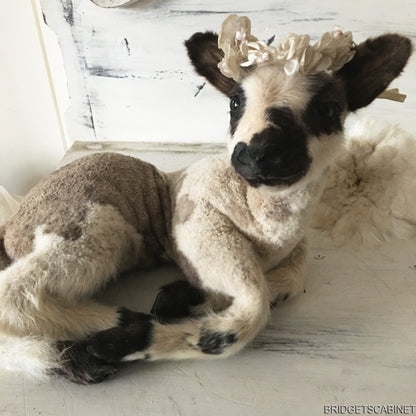 Vintage Taxidermy Lamb