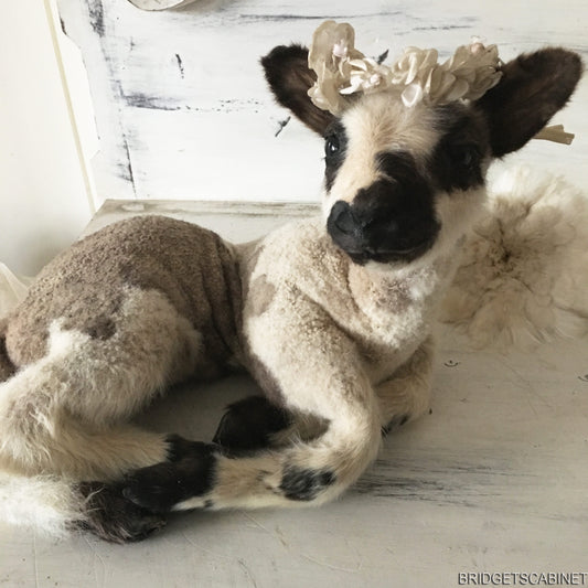 Vintage Taxidermy Lamb