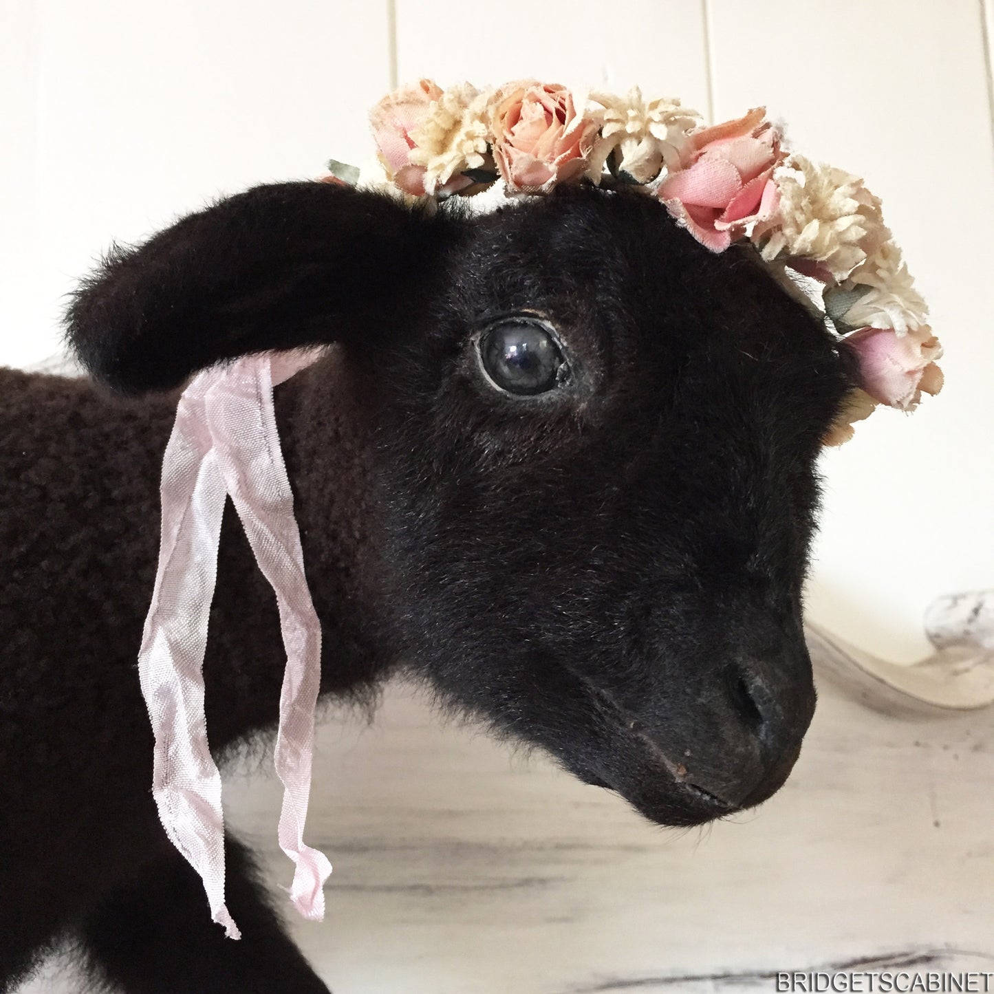 Black Taxidermy Lamb