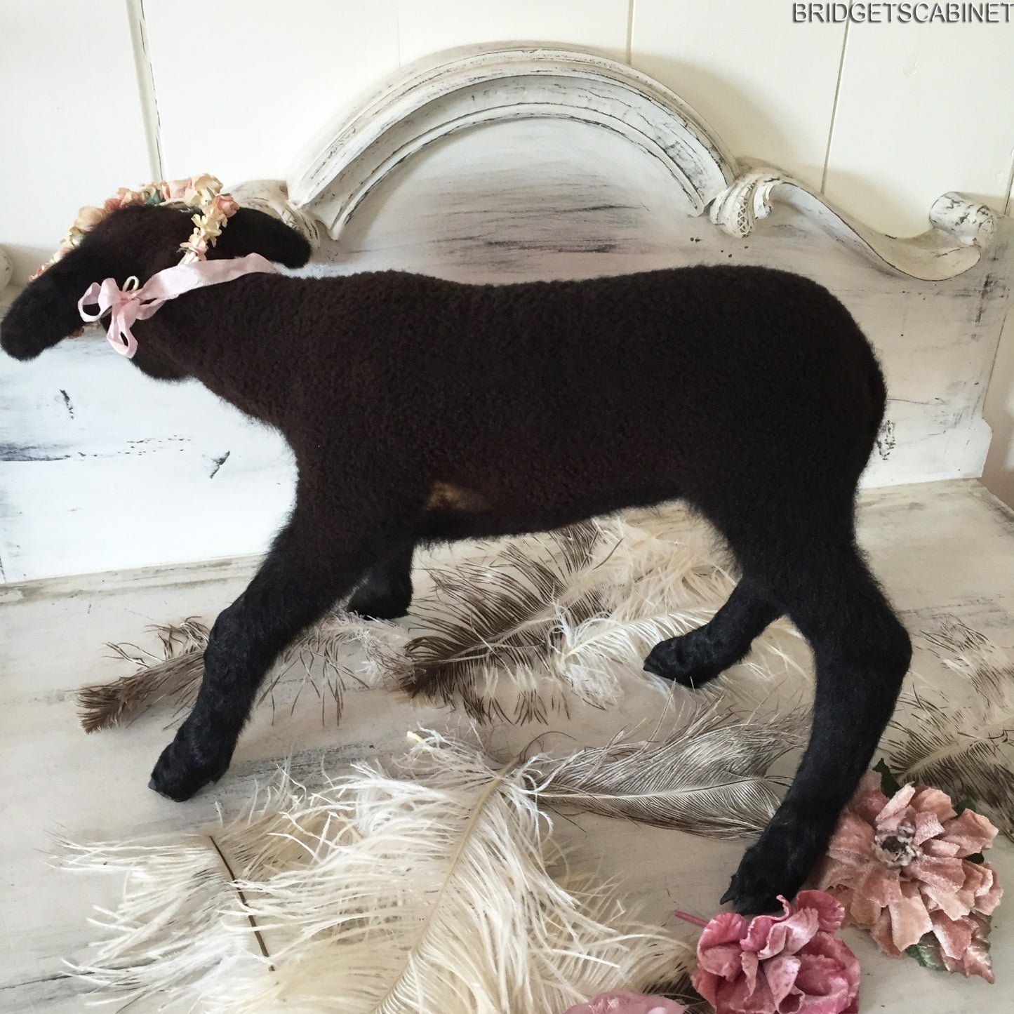 Black Taxidermy Lamb