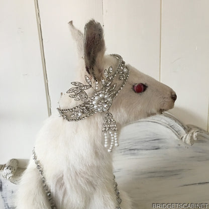 Albino White Taxidermy Wallaby