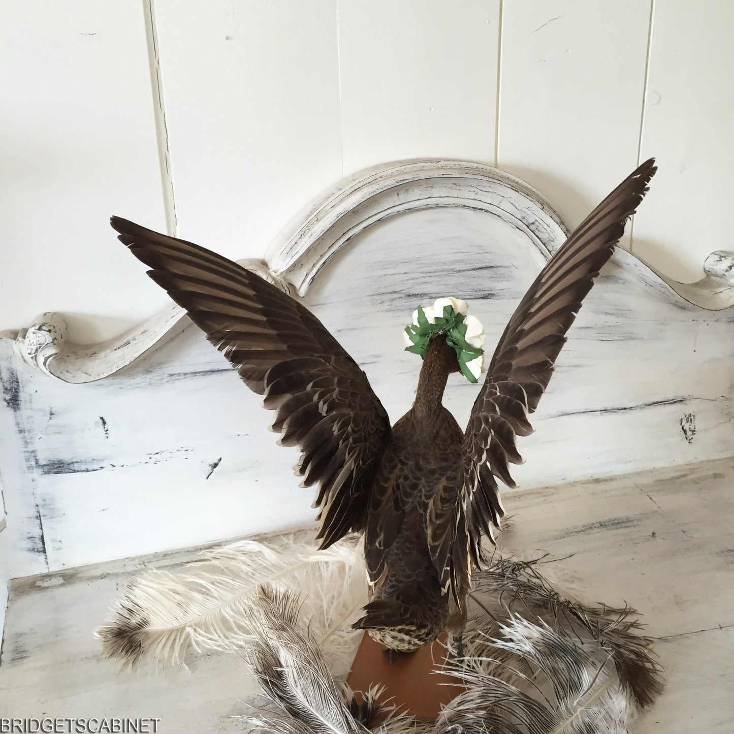 Flying Taxidermy Duck
