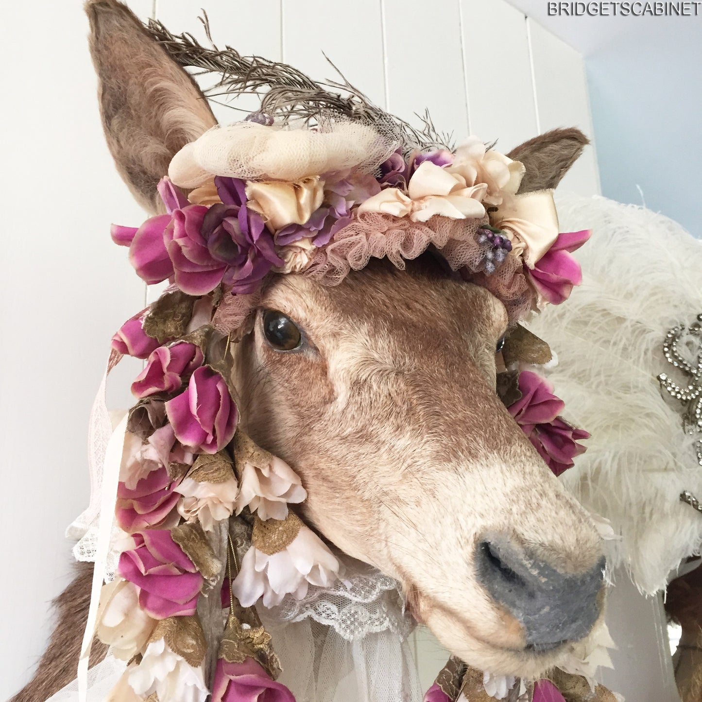 Enchanting Taxidermy Deer Head